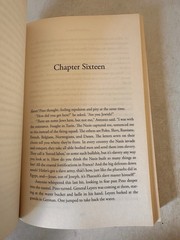 Beneath a Scarlet Sky : A Novel by Mark Sullivan 2017, Trade Paperback