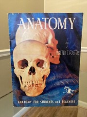 ANATOMY by Walter T Foster VINTAGE Paperback Drawing Book, Large Size QUICK SHIP