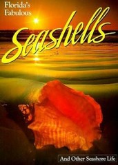 Florida’s Fabulous Seashells: And Other Seashore Life – Paperback – GOOD